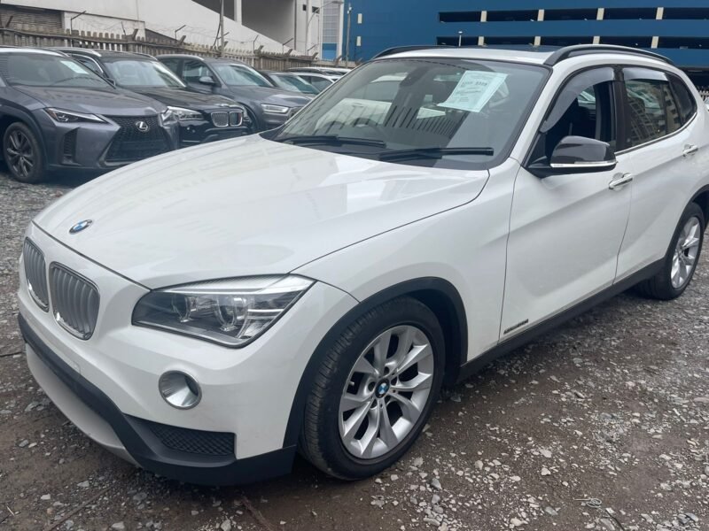 2012/2013 BMW X1