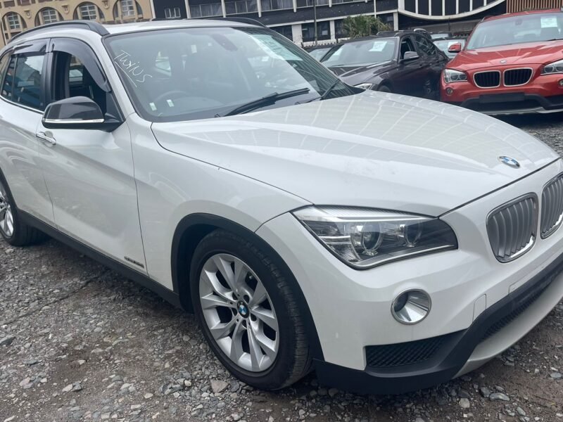 2012/2013 BMW X1