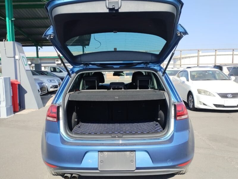 2014 Volkswagen Golf 7 TSI